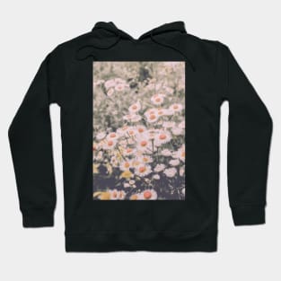 Wild Summer Daisies Hoodie